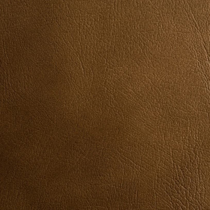 Ecodomo Grizzly Chablis Leather material sample.