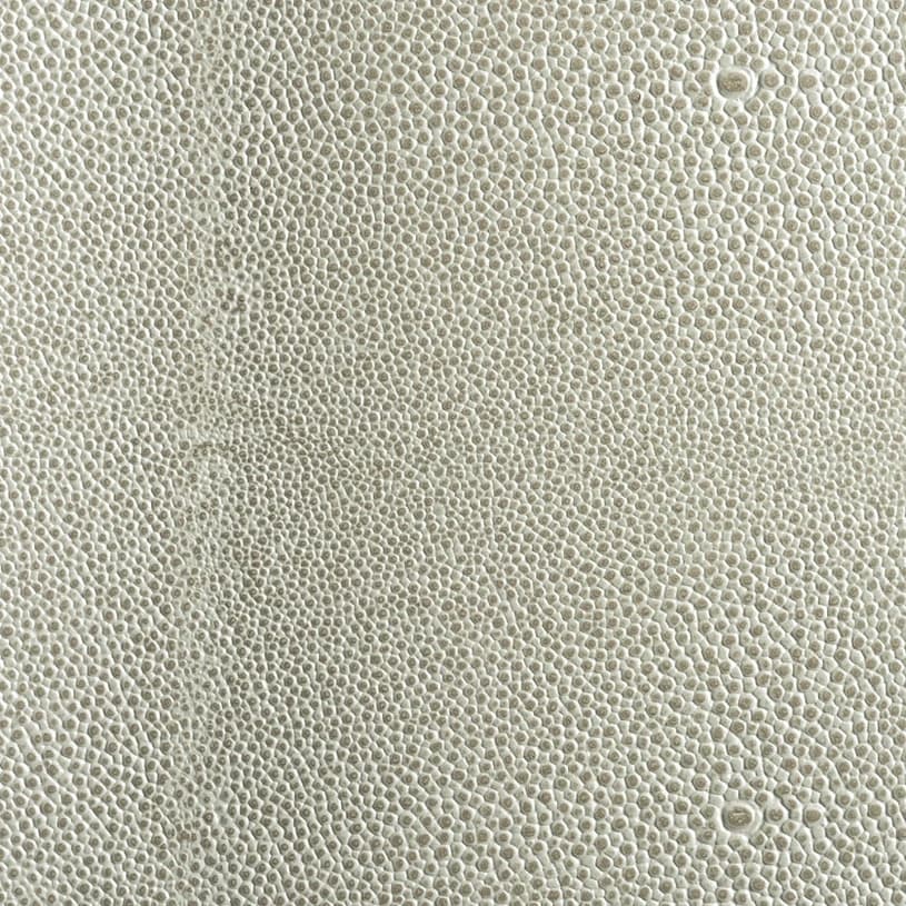 Ecodomo Grey Stone Shagreen Leather material sample.
