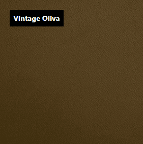 Dani Leather Vintage Olivia Green Leather material sample.