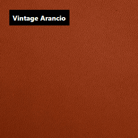 Dani Leather Vintage Arancio Orange Leather material sample.