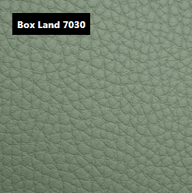 Dani Leather Box Land 7030 Leather material sample.