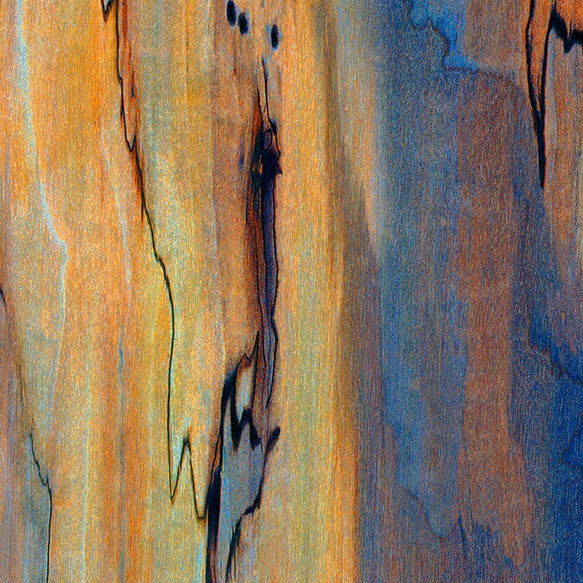 An abstract laminate pattern in balanced neutral and mid-tone hues, defined by layered marks, tonal variation, and restrained visual movement