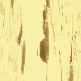 A woodgrain laminate pattern in yellow tones, defined by natural grain movement and layered tonal variation