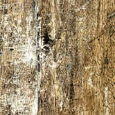 A woodgrain laminate pattern in balanced neutral and mid-tone hues, defined by natural grain movement and layered tonal variation