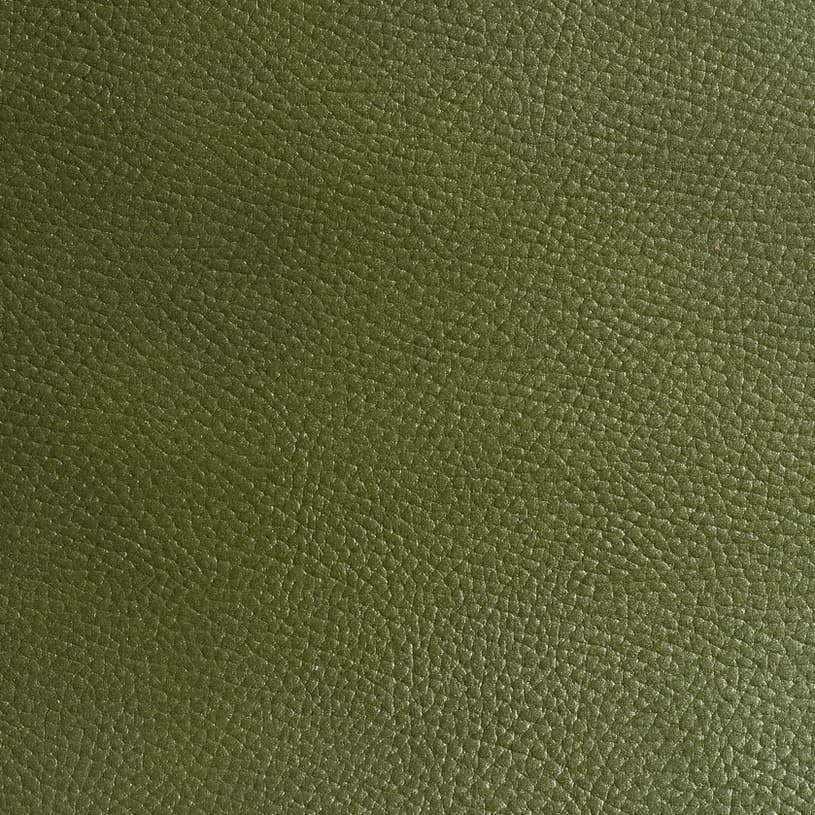 Ecodomo Emerald Walrus Leather material sample.