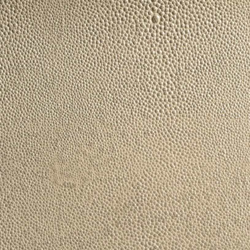 Ecodomo Pearl Shagreen Leather material sample.