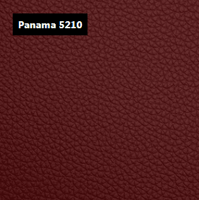 Dani Leather Panama 5210 Red Leather material sample.