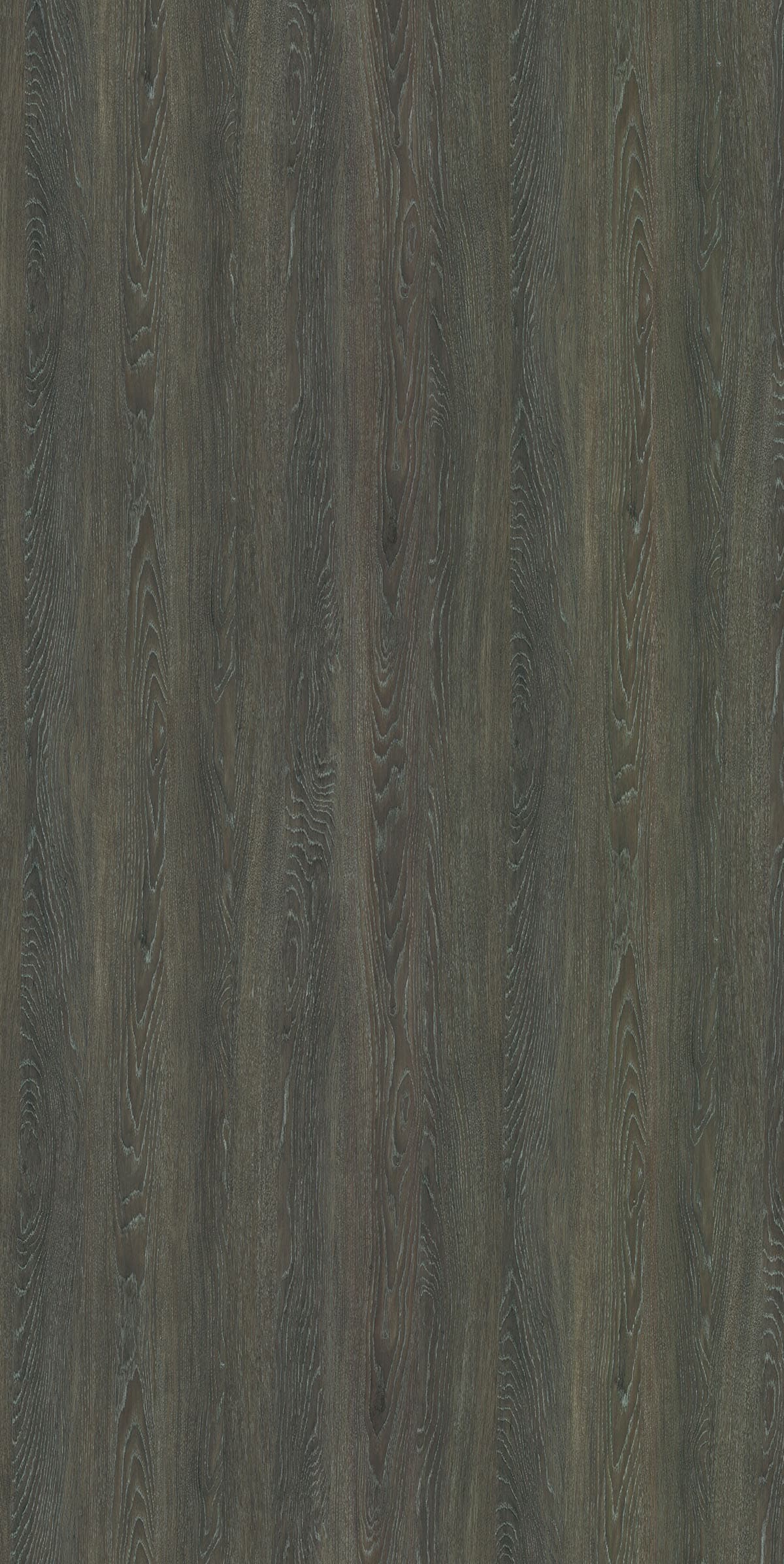 A refined oak laminate with natural tan and brown tones and clean, flowing grain movement