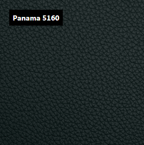 Dani Leather Panama 5160 Green Leather material sample.