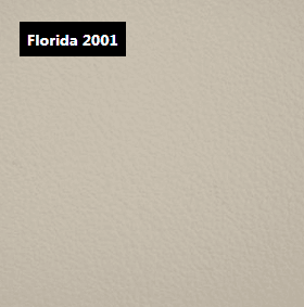 Dani Leather Florida 2001 Leather material sample.