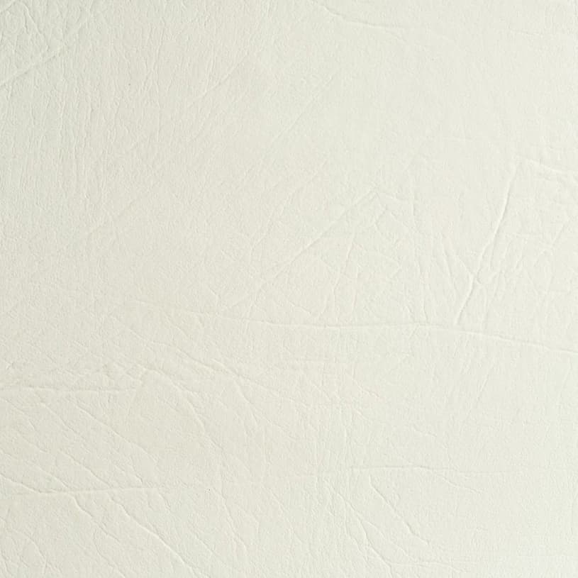 Ecodomo Bianco Walrus Leather material sample.