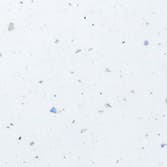 An abstract laminate pattern in white tones, defined by layered marks, tonal variation, and restrained visual movement