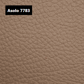 Dani Leather Asolo 7783 Leather material sample.