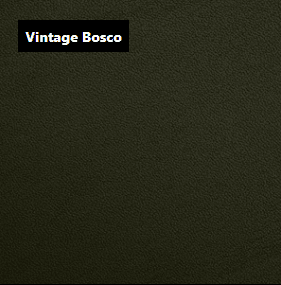 Dani Leather Vintage Bosco Green Leather material sample.
