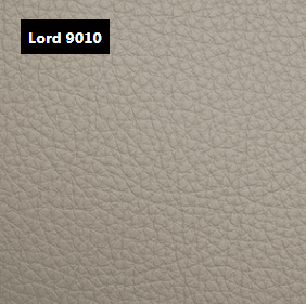 Dani Leather Lord 9010 Grey Leather material sample.