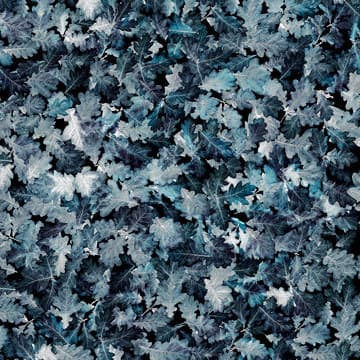 An abstract laminate pattern in balanced neutral and mid-tone hues, defined by layered marks, tonal variation, and restrained visual movement