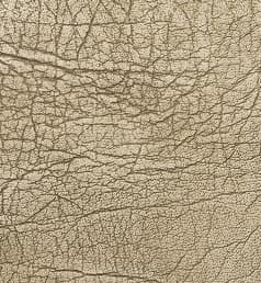 EcoDomo Edgeband Gold Grey Metallic Buffalo (EB-5635-13) edgeband swatch.