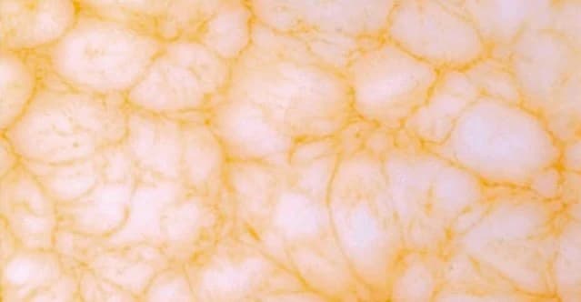 Transonyx Phoenix Gold Onyx material sample.