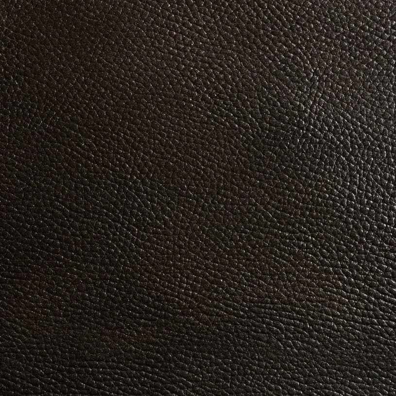 Ecodomo Antique Black Walrus Leather material sample.