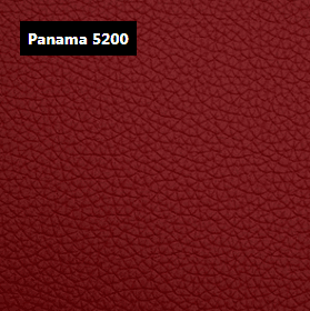 Dani Leather Panama 5200 Red Leather material sample.