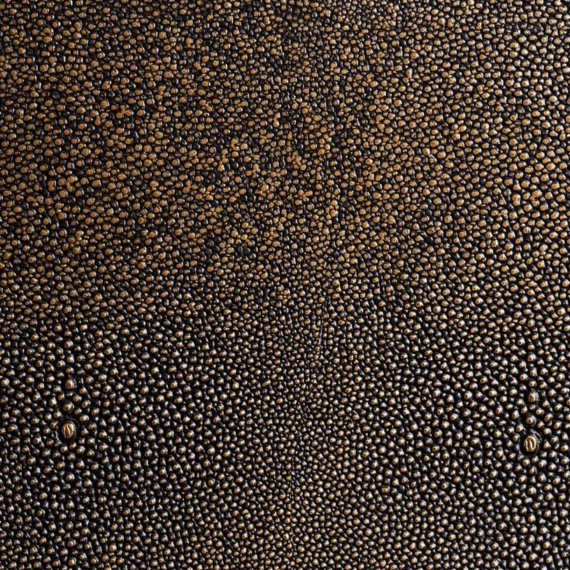 Ecodomo Chocolate Shagreen Leather material sample.