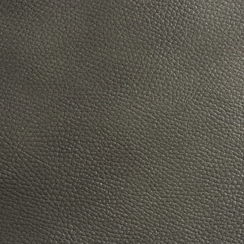 Ecodomo Antique Grey Walrus Leather material sample.