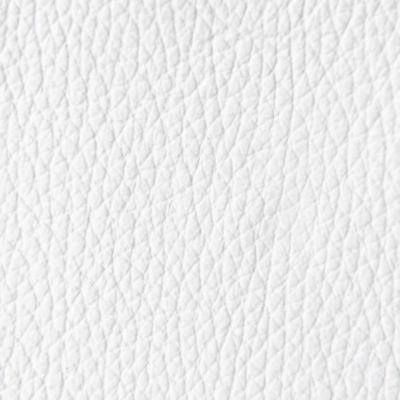 Ecodomo Cordova Winter Leather material sample.